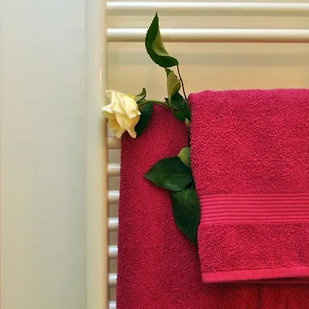 Barbara * Сплит