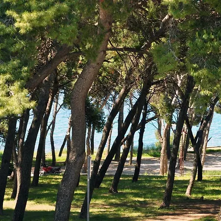Apartament Barbara *