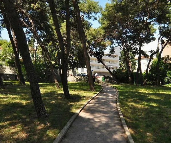 Barbara *